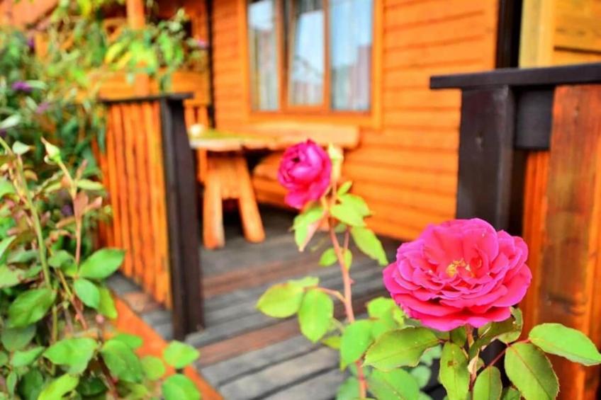 Holiday resort, Jaroslawiec - foto 10