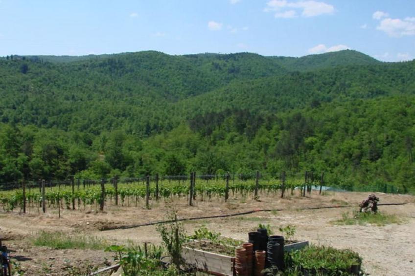 Le Corniole mit Pool, Jacuzzi und Grill - foto 46