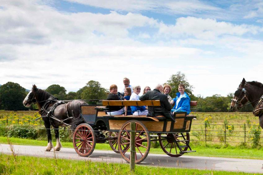 Boherbue (TR1) Holiday Home - foto 19