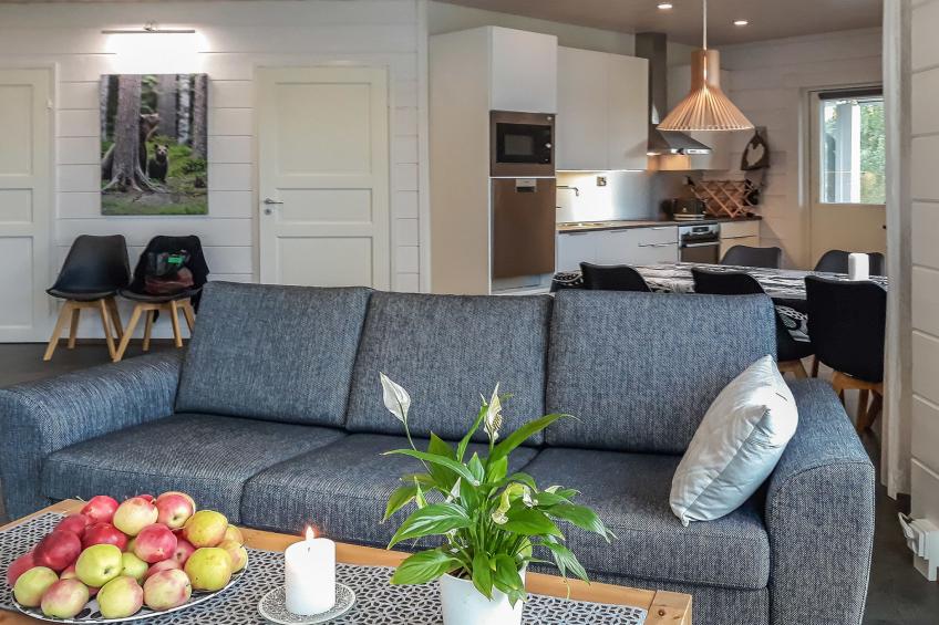 Paasirinne a - foto 9