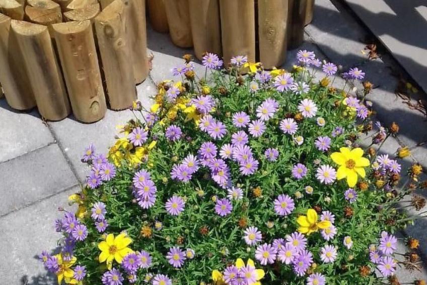 in Bük im Parterre mit Garten - foto 7