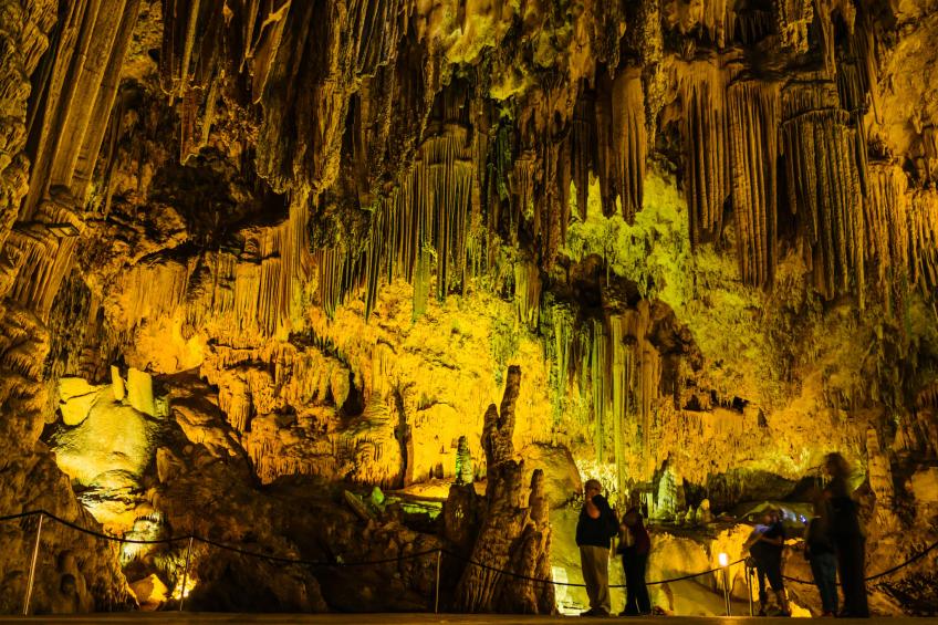 Royal Palm - foto 37