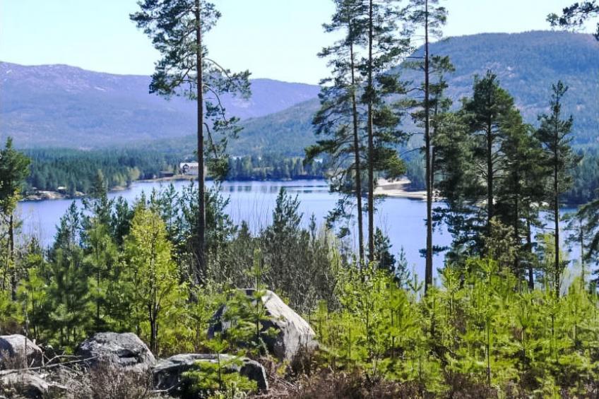 Vrådal - foto 63