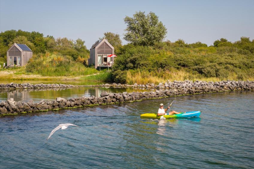 Eco Resort Grevelingenstrand - one dog - foto 19