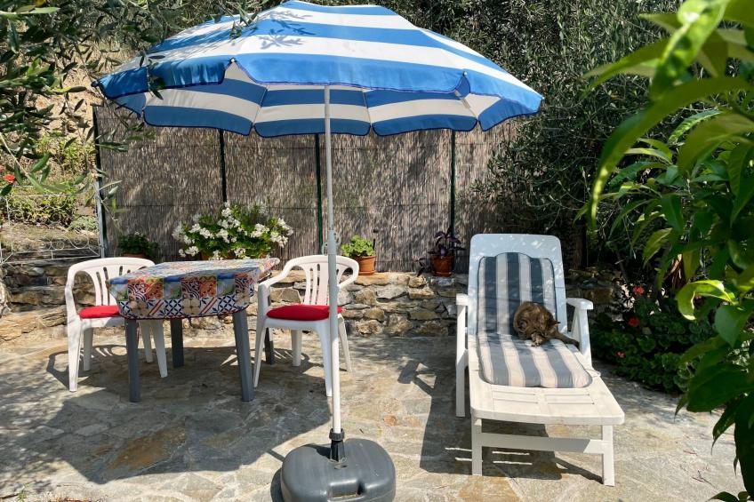 Piccola navetta - foto 5