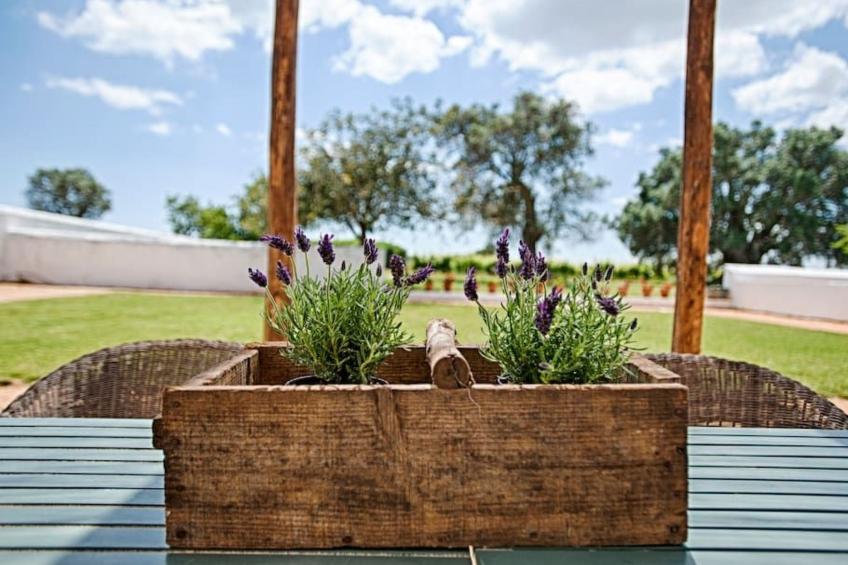 Ferienvilla mit Garten, Grill und Terrasse