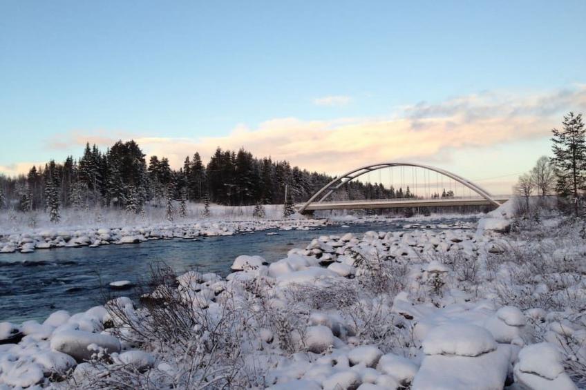 mit Garten, Grill und Terrasse - foto 29