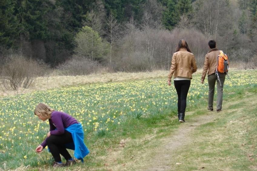 Snowview Lodge - foto 25