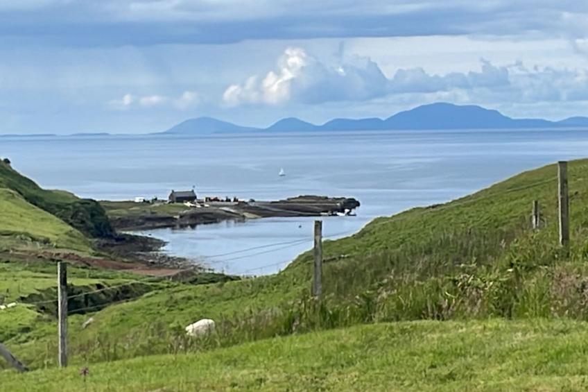 The Studio - foto 37