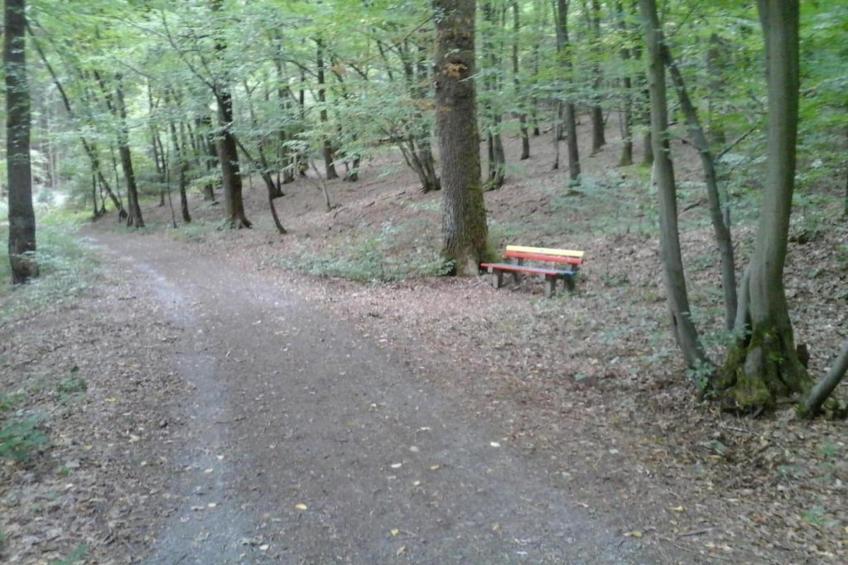 Ferienwohnung Bluzi im Westerwald - foto 38