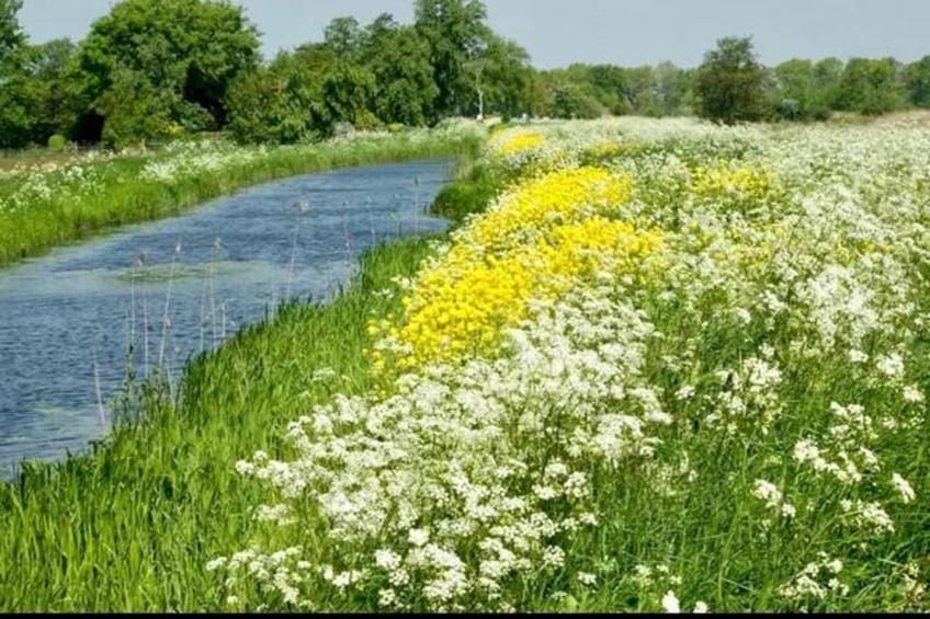 Waterstaete Ossenzijl 3 - foto 16