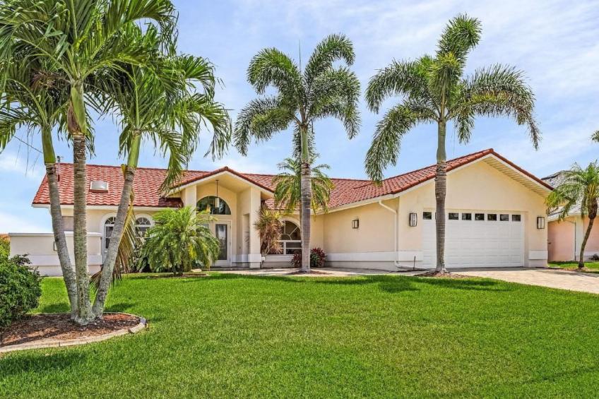 Tropical Palms - hier sind die Momente anders als sonst - foto 3