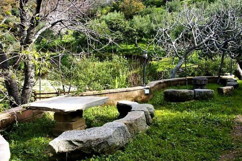 Flache Zeder - foto 43