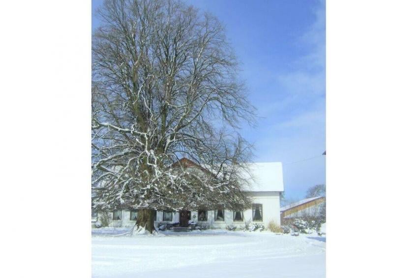 9518 - foto 5