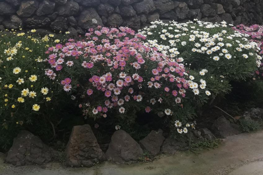 "Casa El Vallito" schönes Steinhaus - foto 33