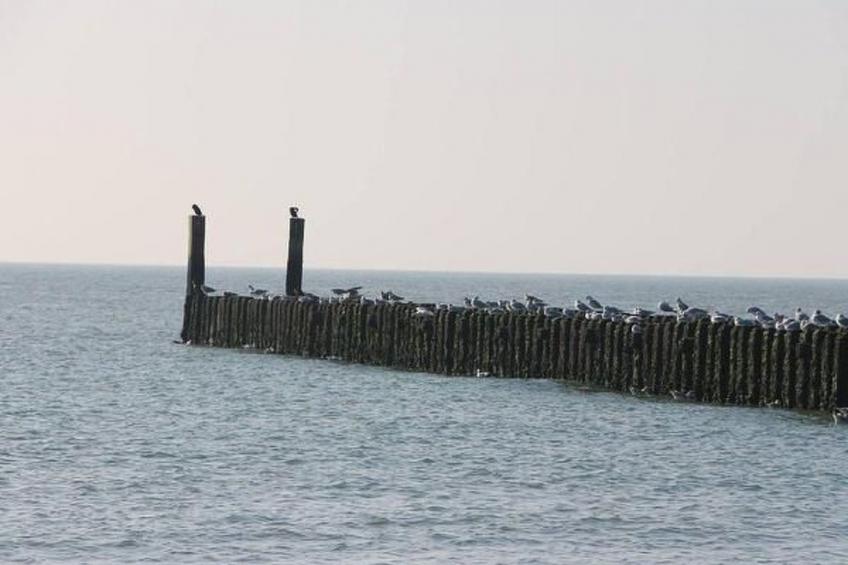 Luxuriöses Studio für 2 Personen de Zuus - foto 13