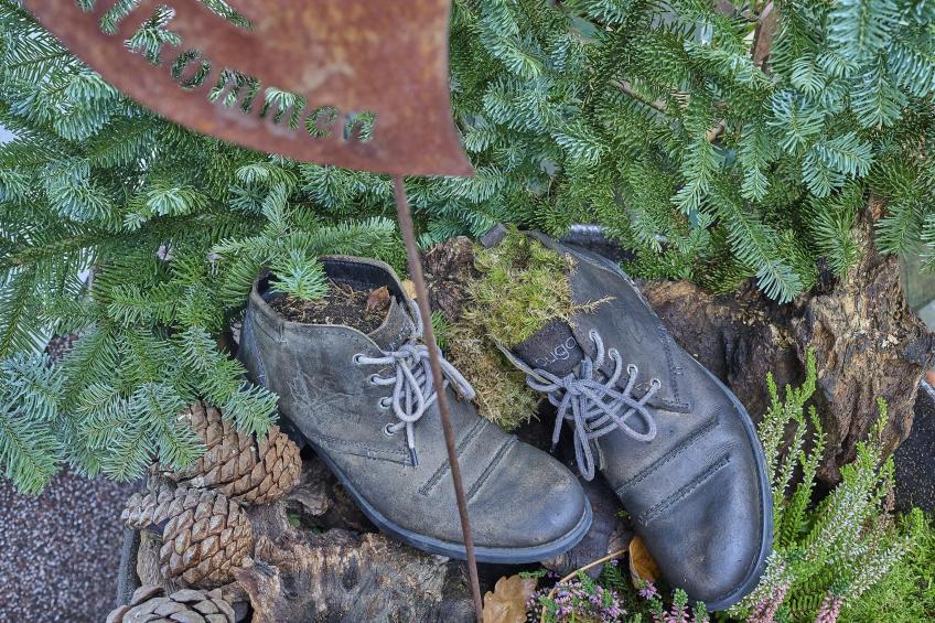 Am Damwildgehege I - foto 32