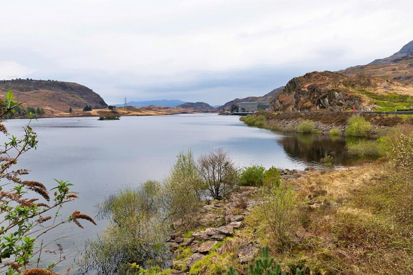 Maes Neuadd - foto 4