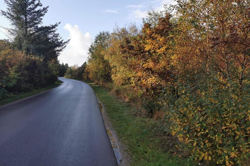 BF-NRFKX - foto 21