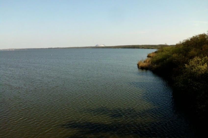452005 - foto 14