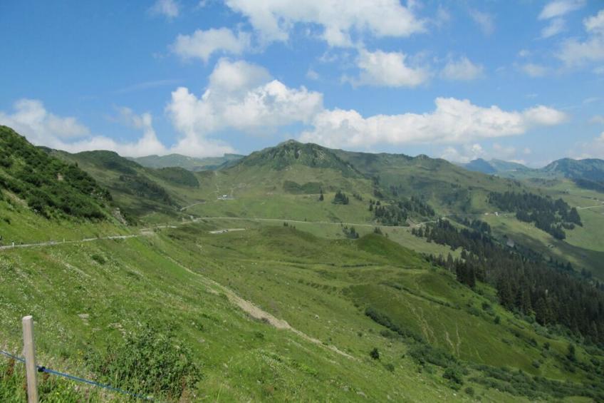 457762 - foto 31