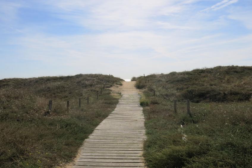 Arc en Ciel Vue Mer - foto 22