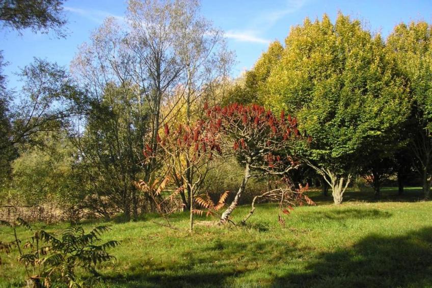 Maison de vacances - VILLARS - foto 33
