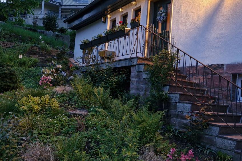 Schwarzwald Königin - foto 34