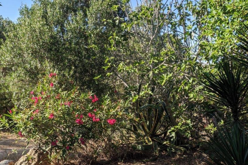 mit Pool und 5 Schlafzimmern für 10 Personen. - foto 17