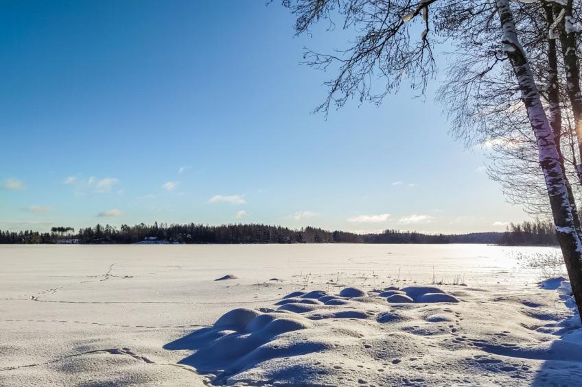 Annelinniemi - foto 4