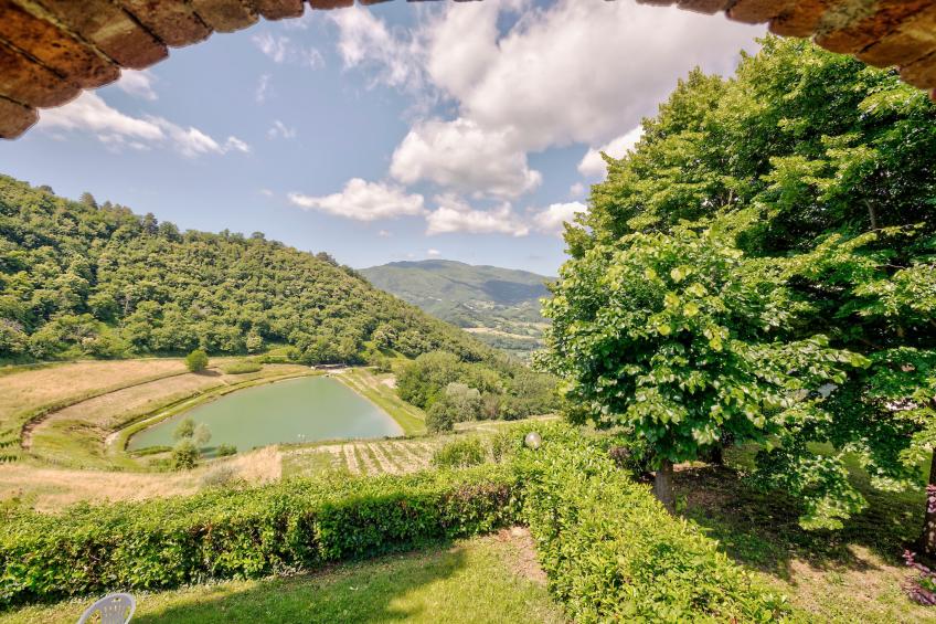 Castagno - foto 34