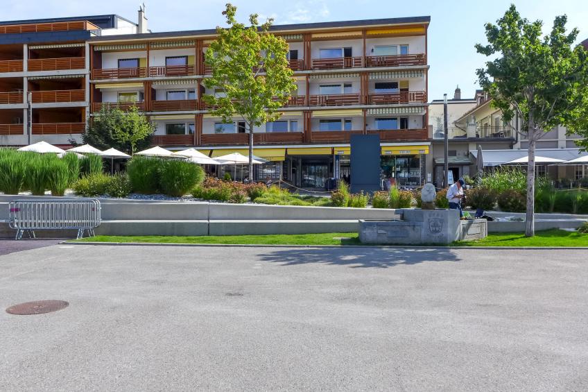 Le Farinet - foto 25