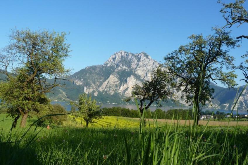 Traunstein - foto 12