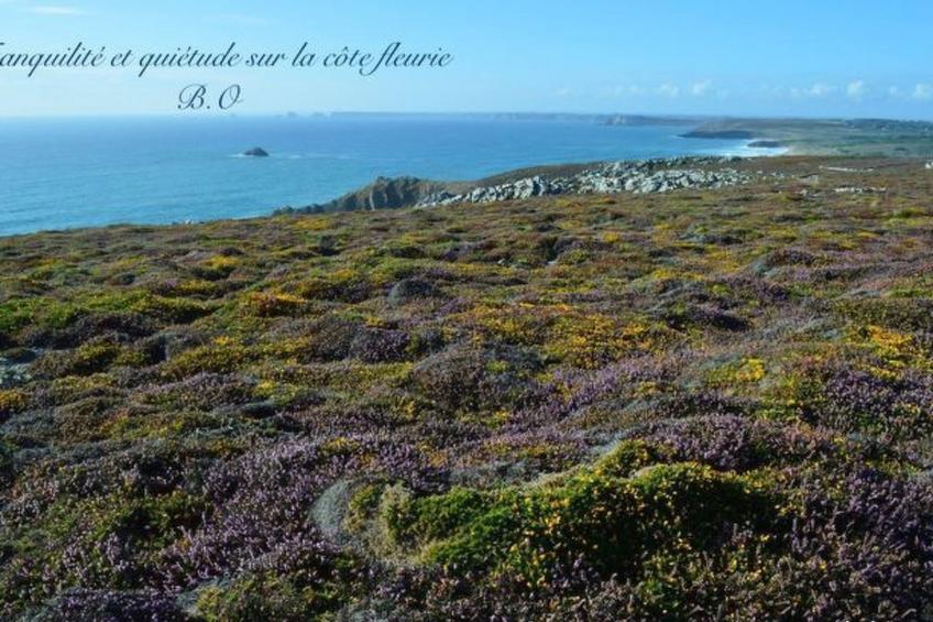 mit eigenem Garten und Grill - foto 24