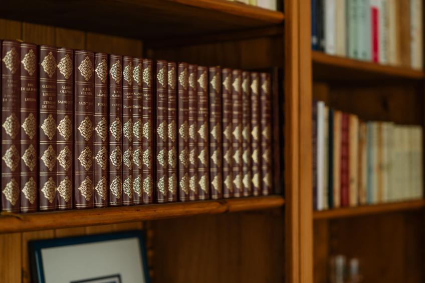 Le Prince Noir - foto 19