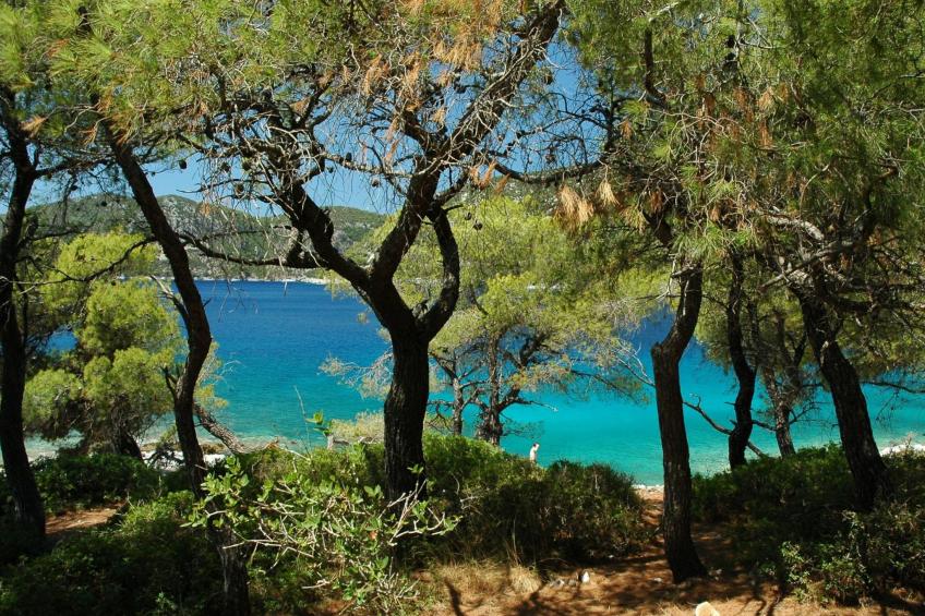 "Julia" mit Blick auf das Wasser - foto 21