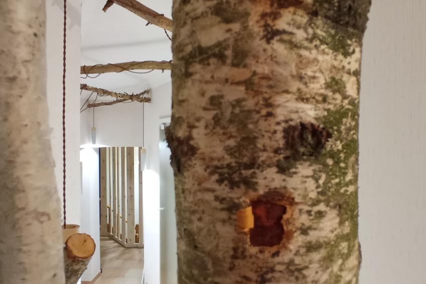 In der Provence, Außergewöhnliche Villa, Okzitanien, Gard - foto 54