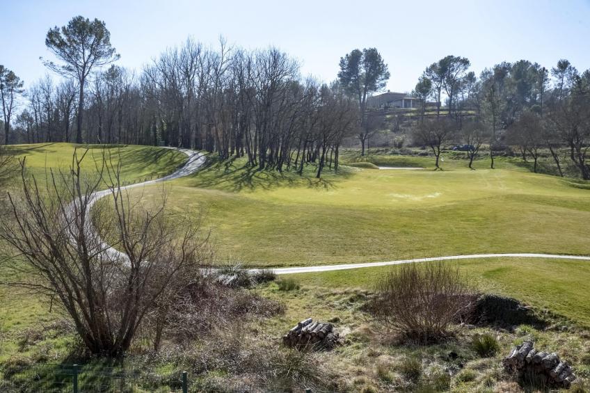 Les Demoiselles - foto 34