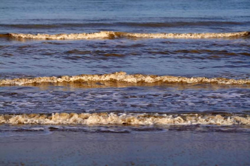 Groot Hof ter Zand - foto 40