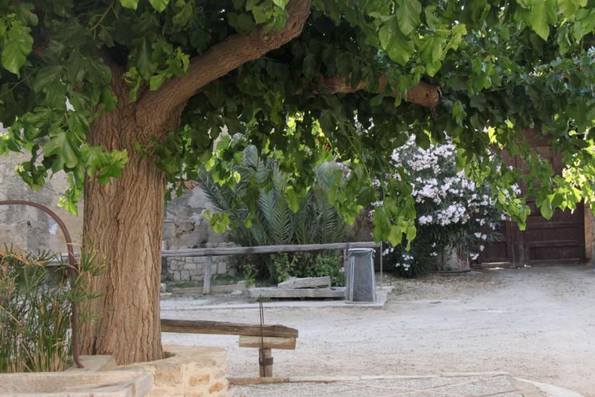 'Haus am Zitronenhain' - foto 15