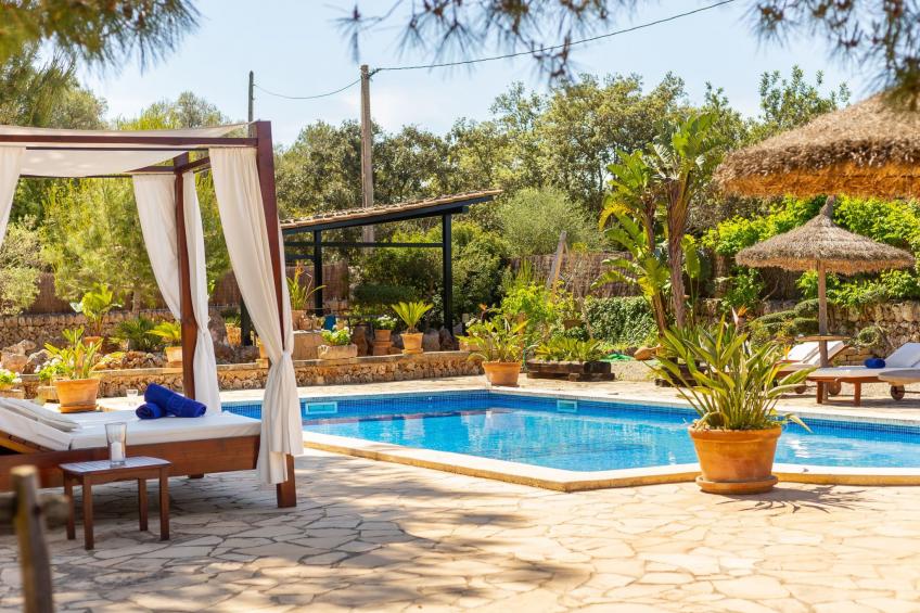 Mulet Llubi - foto 12