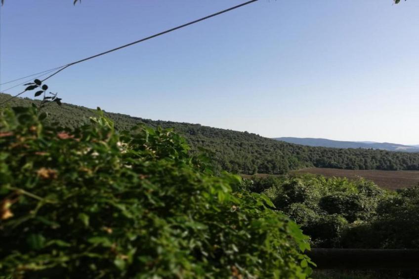 Villino Tre - foto 28