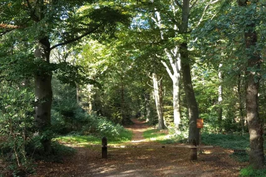 De Meerkoet - foto 27