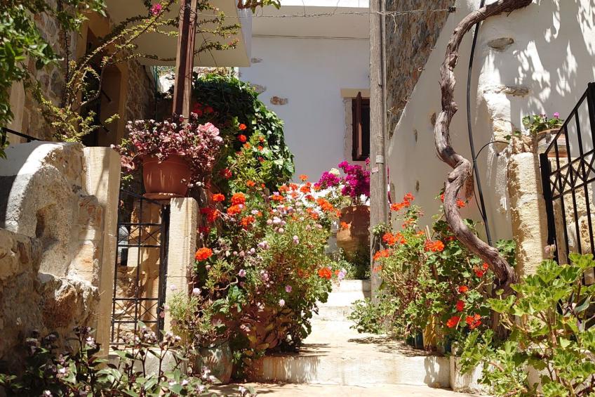 in Pefki mit Terrasse und Grill - foto 28