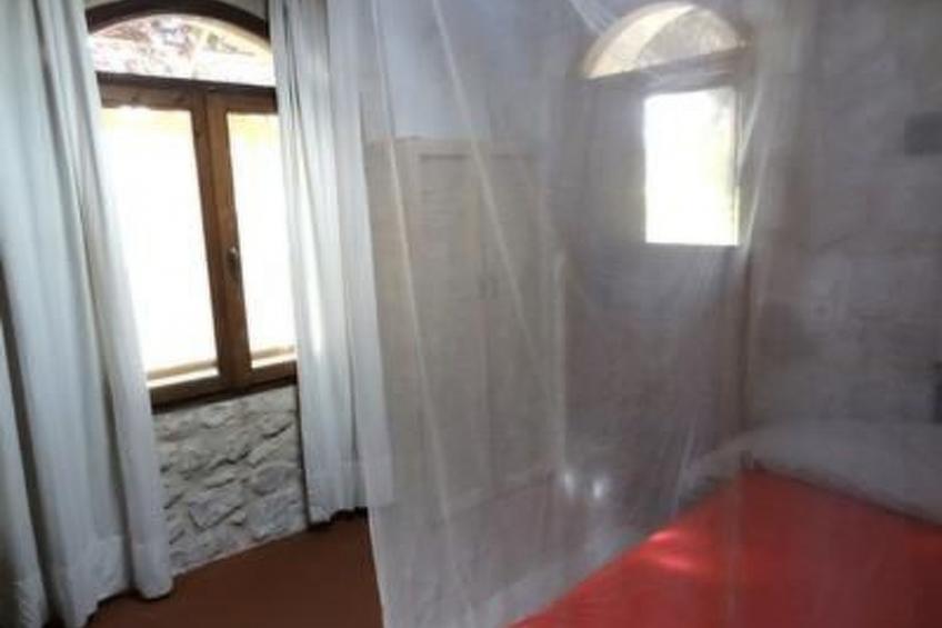 Spiti Papaya - foto 11