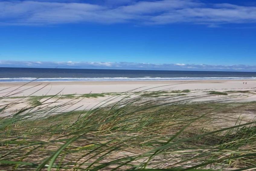 Beach 15-20 - foto 22