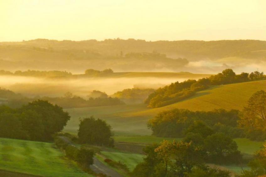 Maison de vacances - VILLEFRANCHE-DU-PERIGORD - foto 31