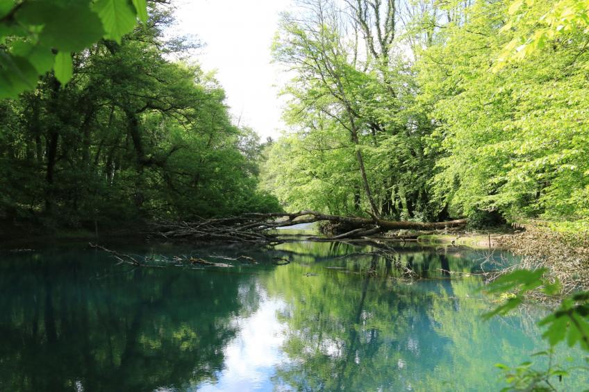 Les deux Unicornes Herrenhaus - foto 25