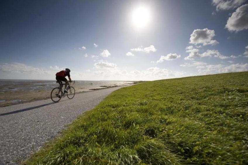 Bargereed 90 - foto 26