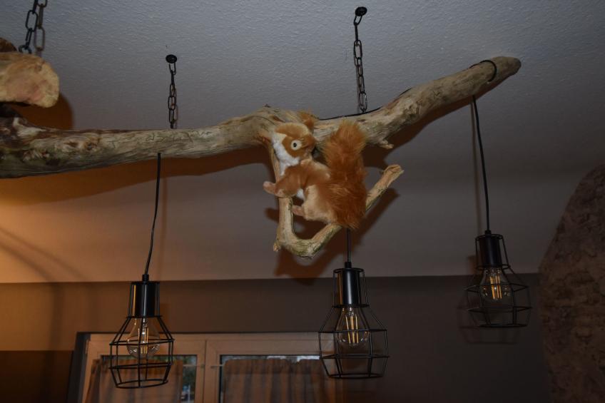 Odenwaldwellness - foto 6